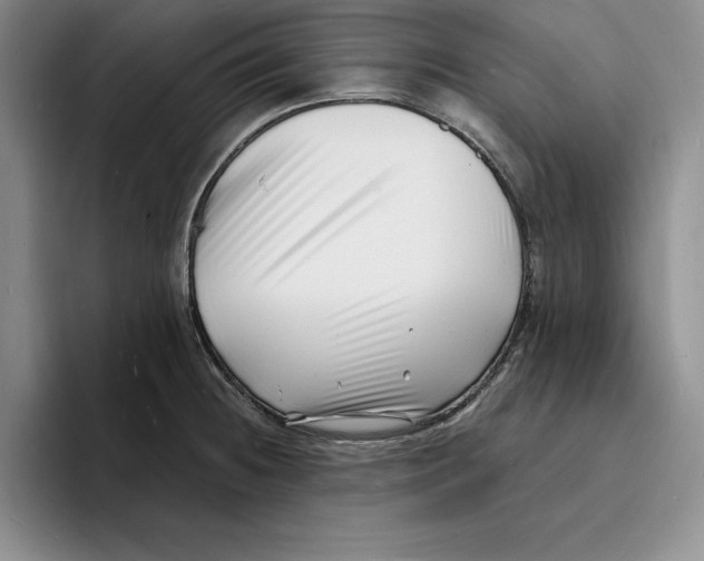 X0000096391236200802211135