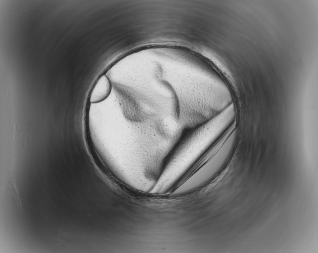 X0000096391237200802211135
