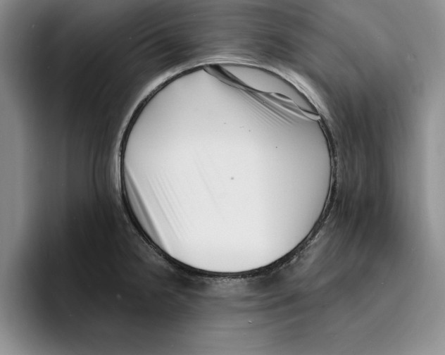 X0000096391238200802211135