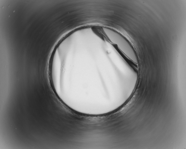 X0000096391240200802211135