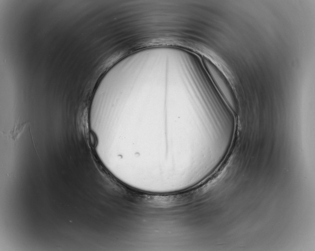 X0000096391241200802211135