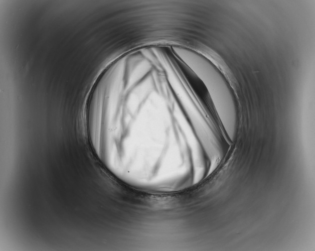 X0000096391242200802211135
