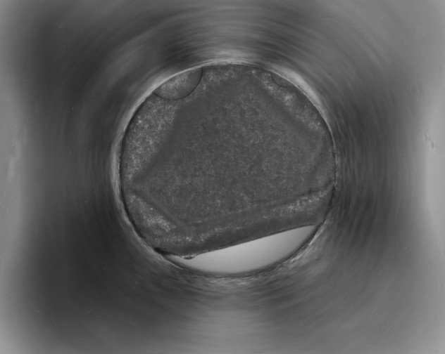 X0000096391243200802211135