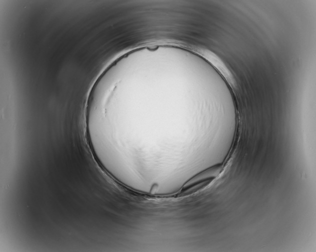 X0000096391244200802211135