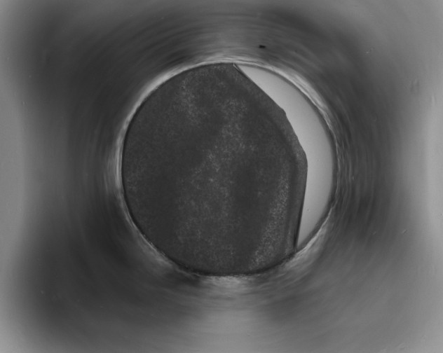 X0000096391246200802211135