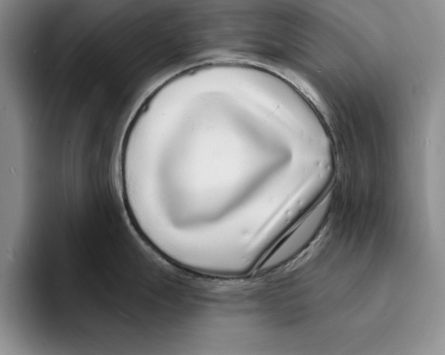 X0000096391247200802211135