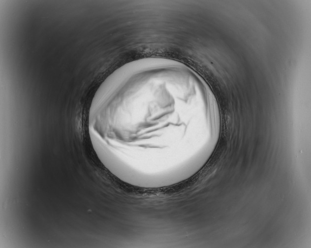 X0000096391250200802211134