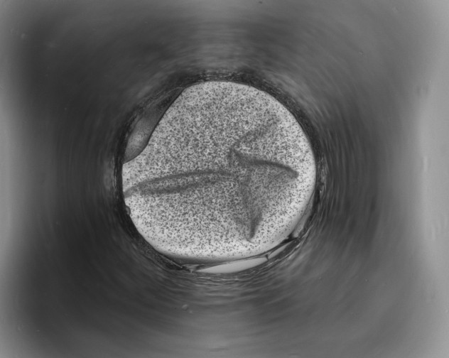 X0000096391252200802211134