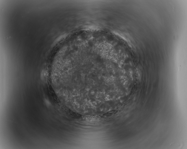 X0000096391254200802211134