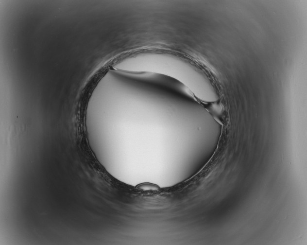 X0000096391256200802211134