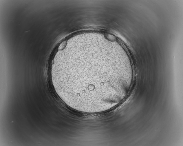 X0000096391259200802211134