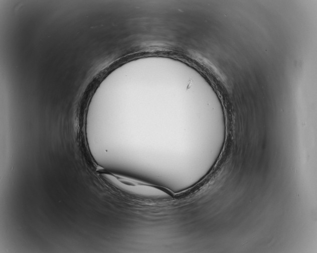 X0000096391261200802211134