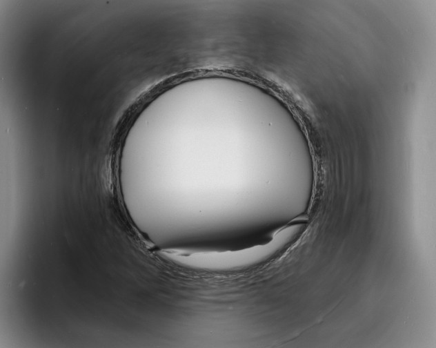 X0000096391262200802211134