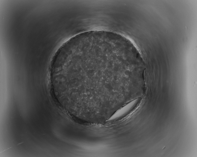 X0000096391263200802211134