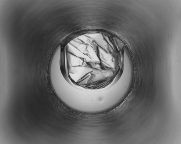 X0000096391265200802211134