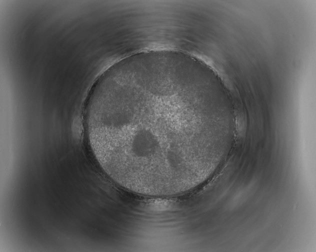 X0000096391266200802211134