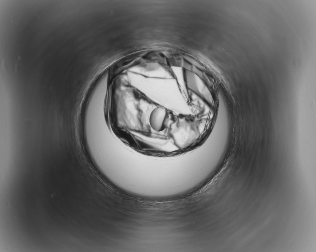X0000096391269200802211134