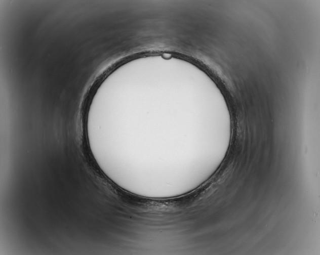 X0000096391270200802211134