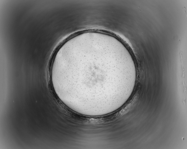 X0000096391271200802211134