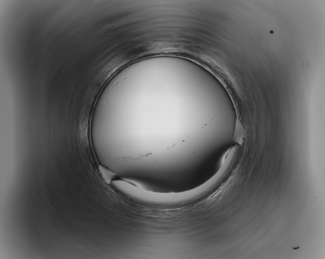 X0000096391273200802211134