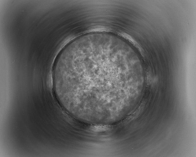 X0000096391274200802211134