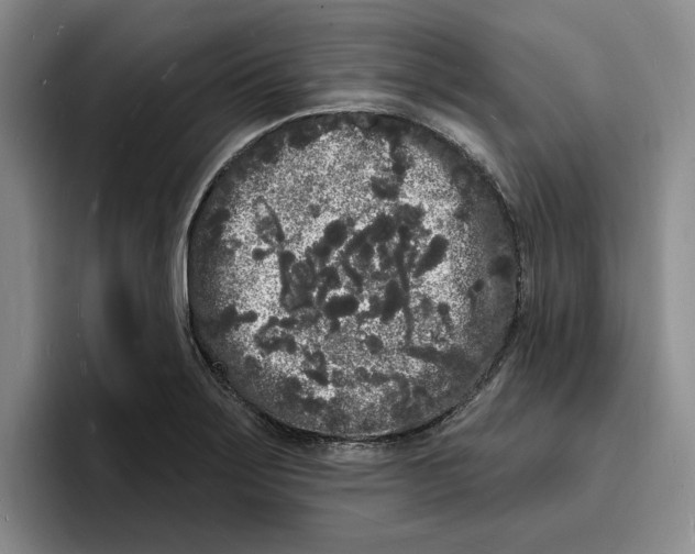 X0000096391275200802211134