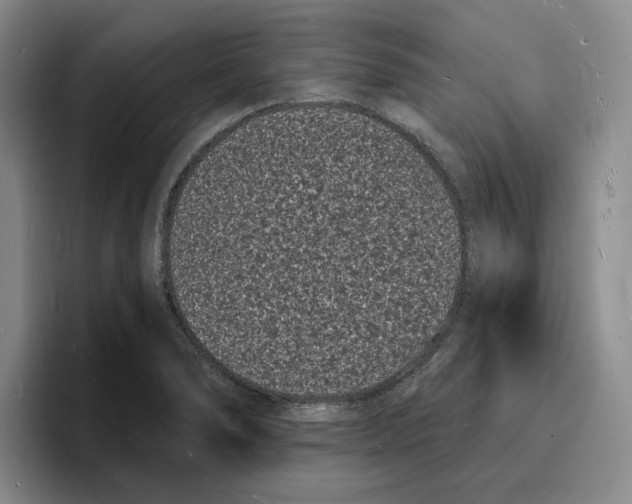 X0000096391278200802211134