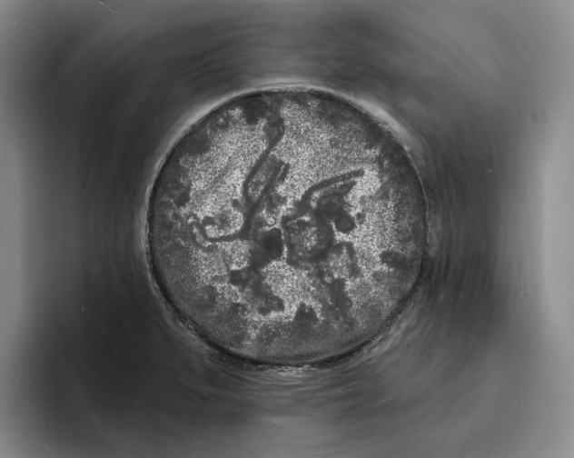 X0000096391279200802211134