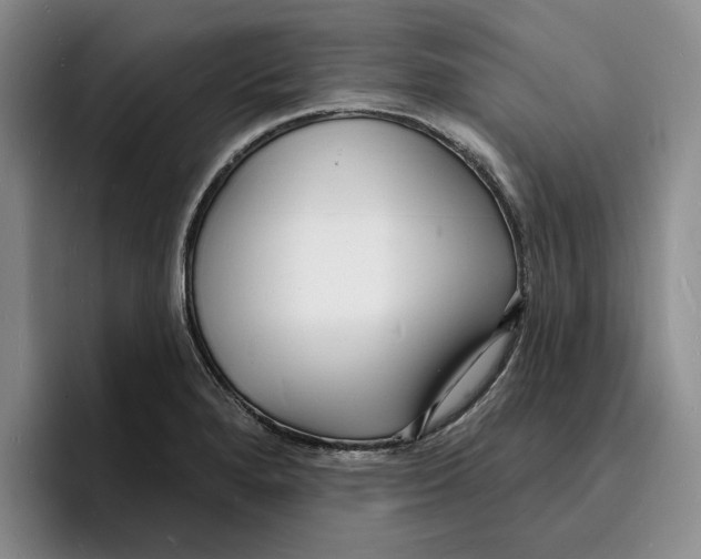 X0000096391280200802211134