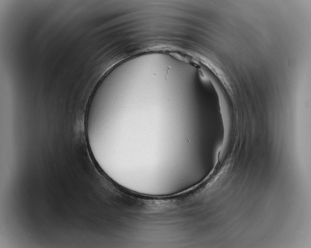 X0000096391281200802211134
