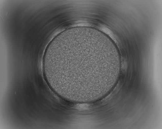 X0000096391282200802211134