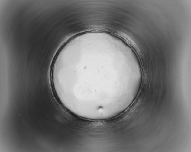 X0000096391283200802211134