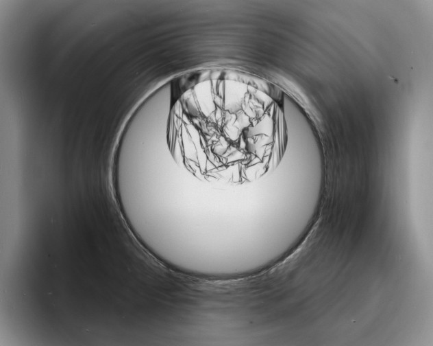 X0000096391284200802211134