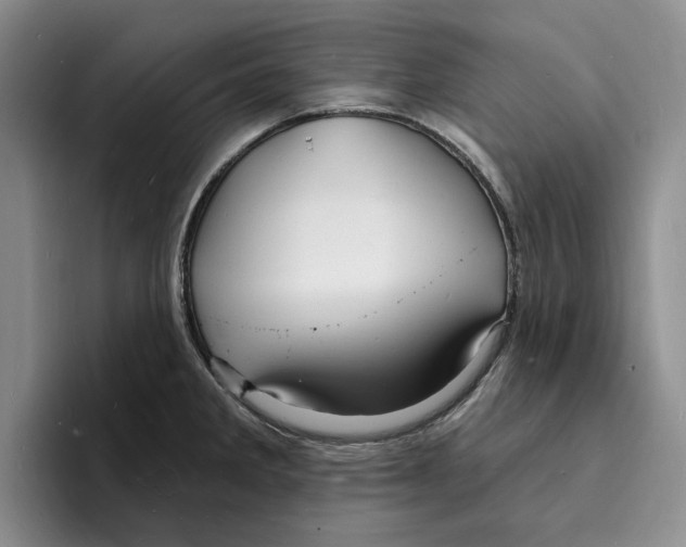 X0000096391285200802211134