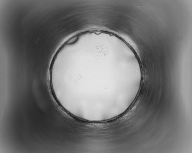 X0000096391287200802211134