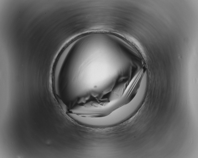 X0000096391288200802211134