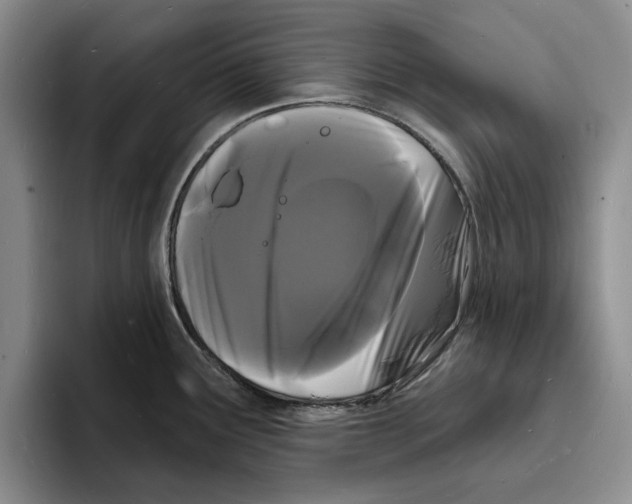 X0000096391291200802211134