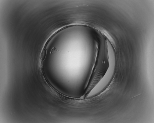 X0000096391292200802211134