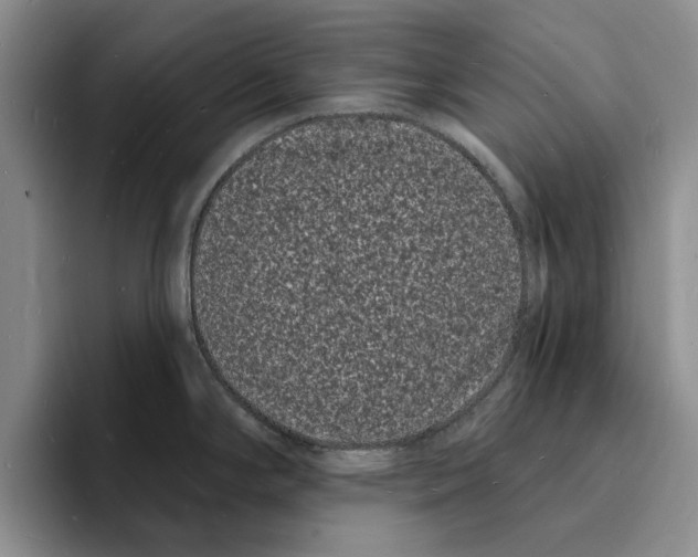 X0000096391294200802211134