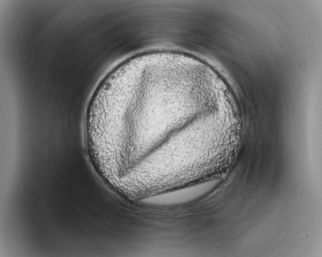 X0000096391295200802211134