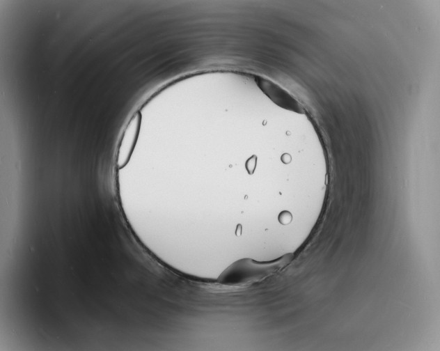 X0000096391296200802211134