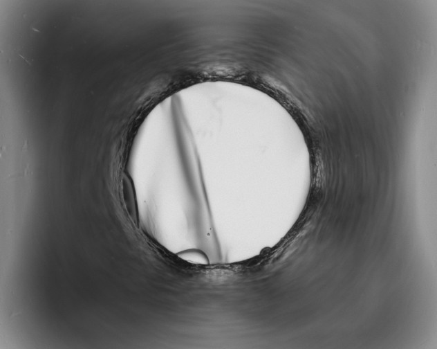 X0000096391297200802211133