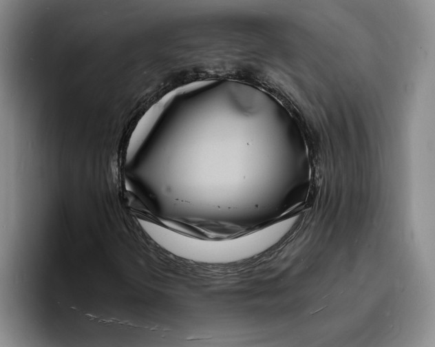 X0000096391298200802211133