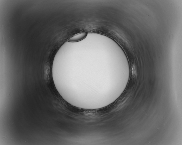 X0000096391299200802211133