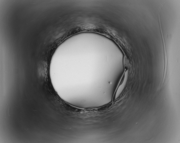 X0000096391301200802211133