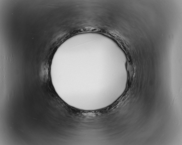 X0000096391302200802211133