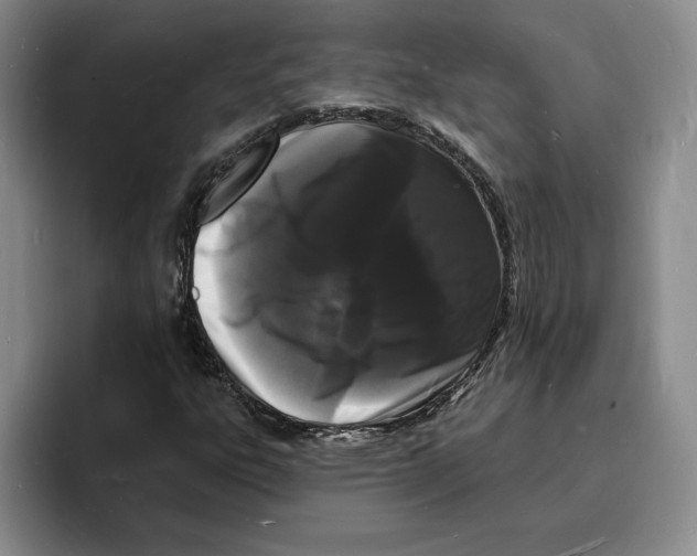 X0000096391303200802211133