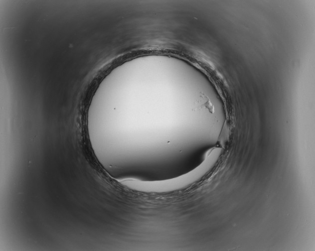 X0000096391304200802211133