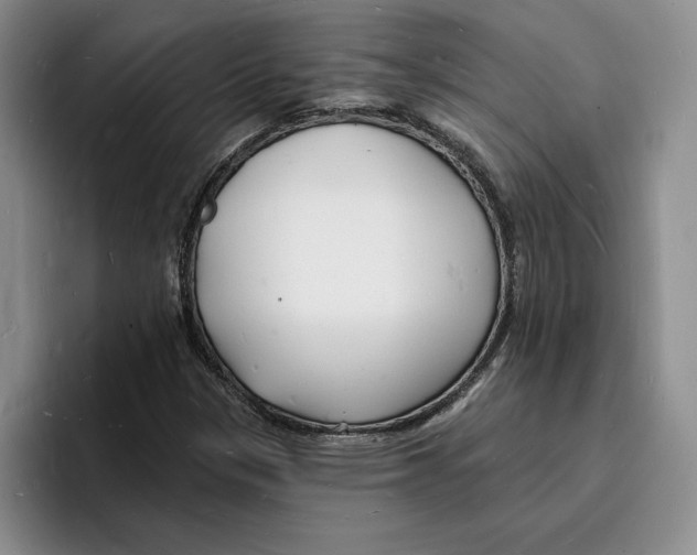 X0000096391305200802211133