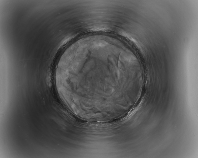 X0000096391306200802211133